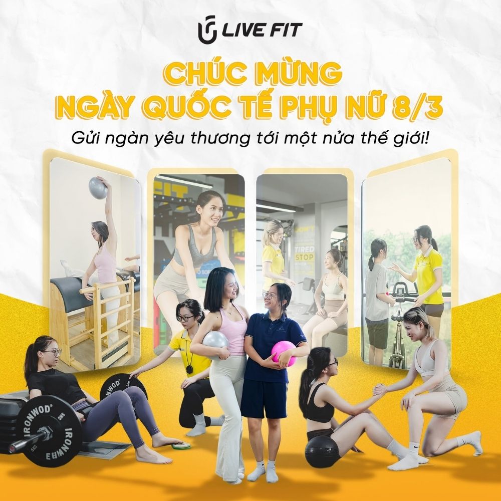 Gym 04