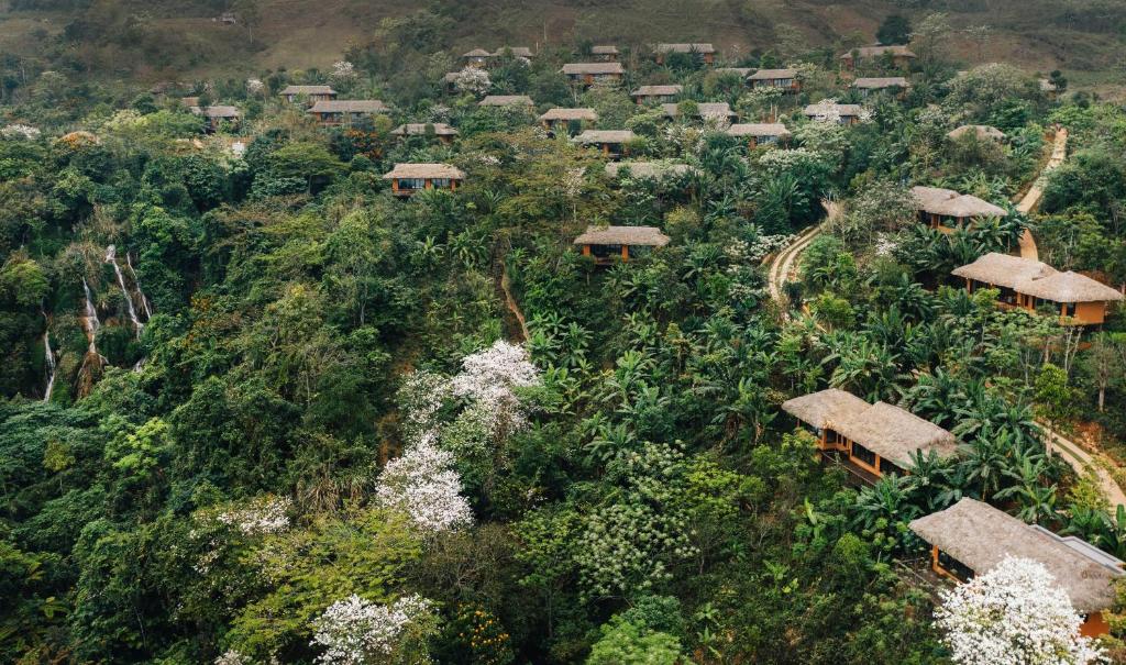 Avana Reatreat- khu nghỉ dưỡng ẩn mình giữa núi rừng - 3